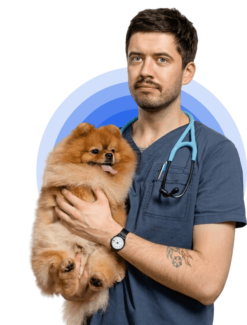 VetStack mascot